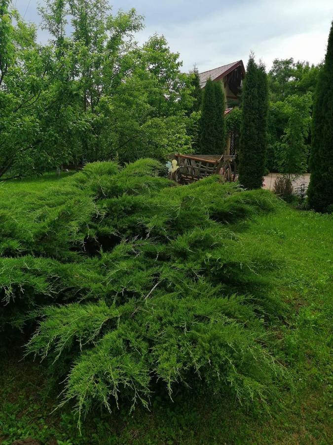 Casa Candea Sighisoara Hotel Esterno foto