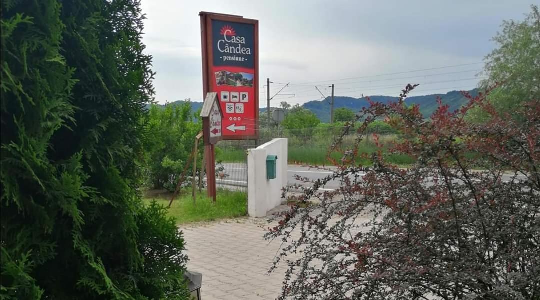 Casa Candea Sighisoara Hotel Esterno foto
