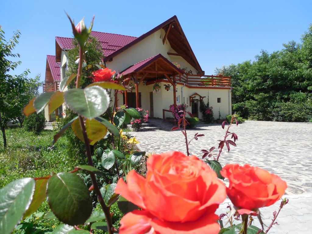 Casa Candea Sighisoara Hotel Esterno foto